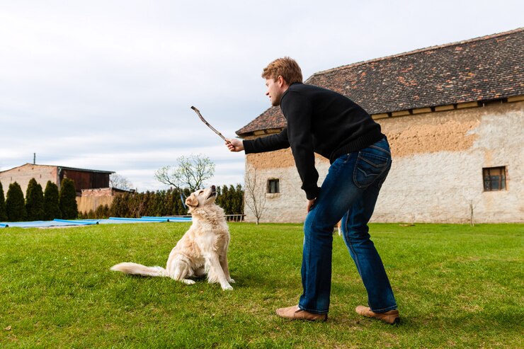Dakota Tuck training a dog at Liberty K9 in Waynesville, Ohio