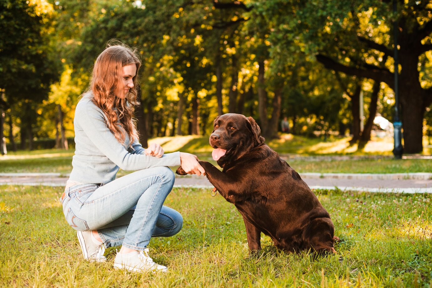 Trainer shaking hands with a well-trained dog during a private lesson at Liberty K9